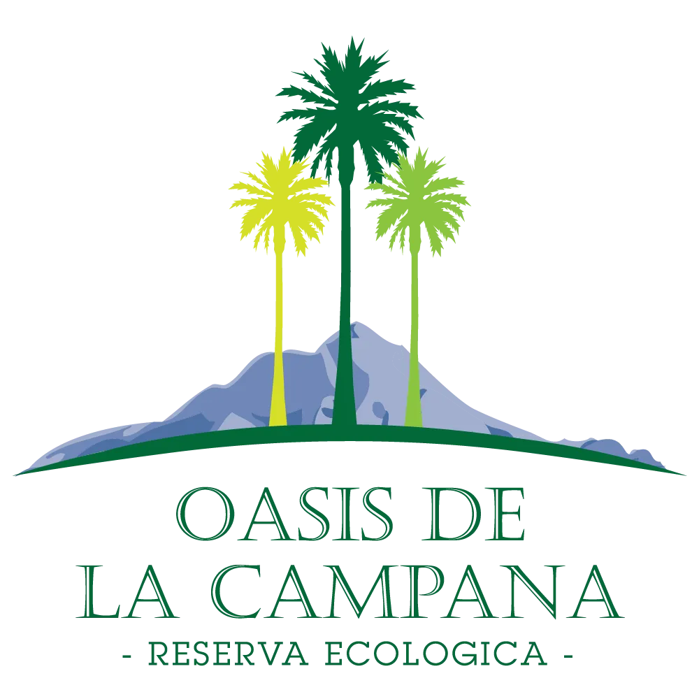 Oasis de la campaña